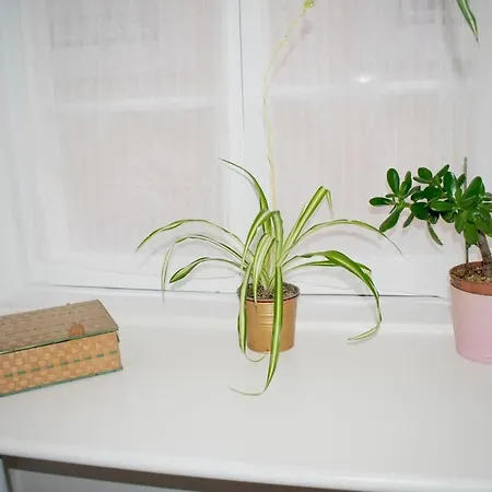 Apartman Alfama 51 Duplex In The Heart Of Alfama Lisboa